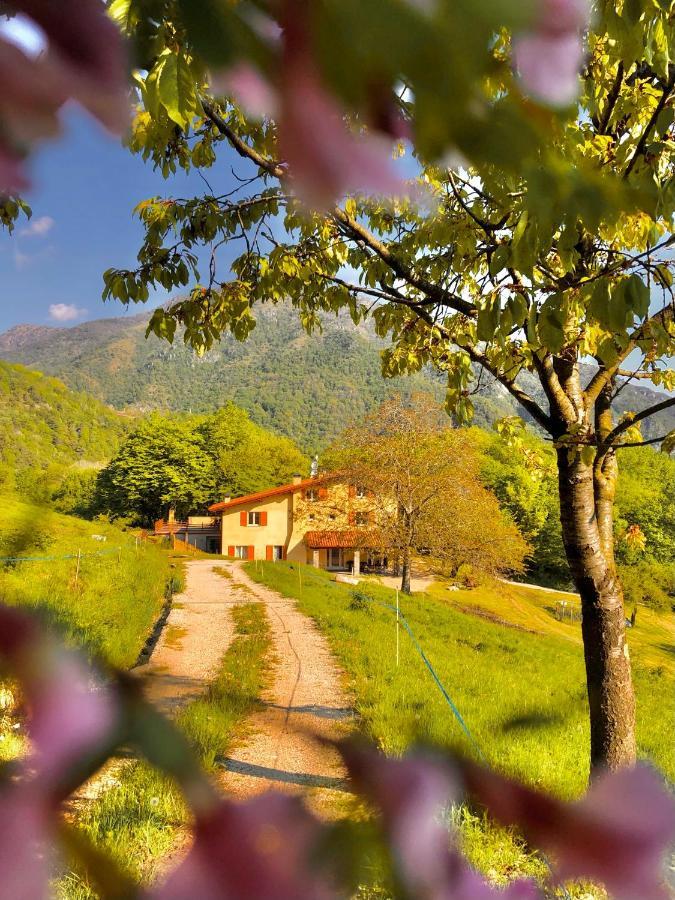 Agriturismo San Lorenzo Di Persegno Villa Toscolano Maderno Exterior photo